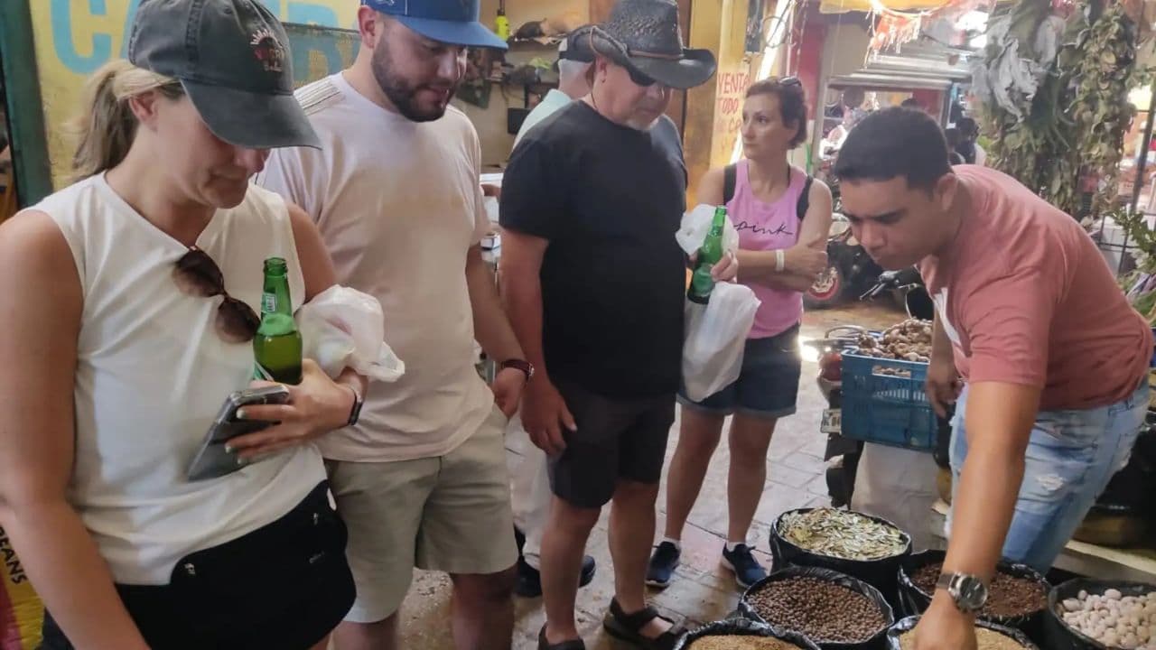 Z Punta Cana: Půldenní kulturní prohlídka Dominikánské republiky — Guided tour and outdoor activity