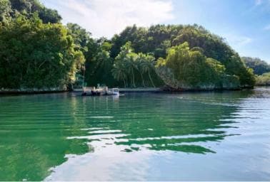 Samana: Los Haitises National Park & Caño Hondo Day Tour — Guided tour and outdoor activity