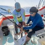 Ab Punta Cana: Hochseeangeltour mit dem Boot mit Getränken — Guided tour and outdoor activity