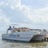Tour zum Nationalpark Los Haitises vom Hafen von Samaná aus — Guided tour and outdoor activity