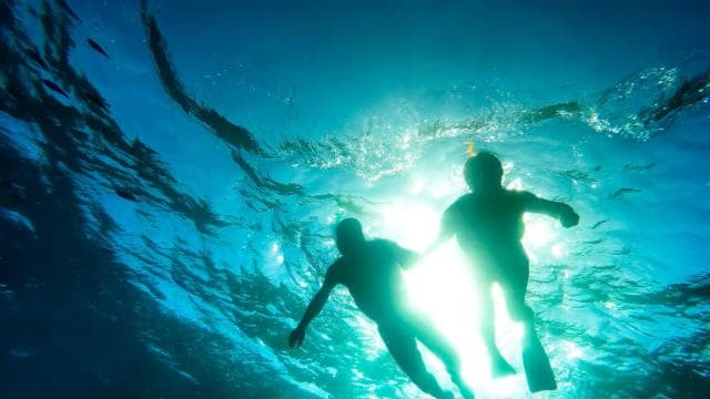 Punta Cana: šnorchlování na ostrově Catalina s obědem — Guided tour and outdoor activity