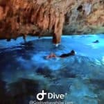 Bayahibe: Schnorcheltour – Meer, Cotubanama-Park und Cenoten — Guided tour and outdoor activity