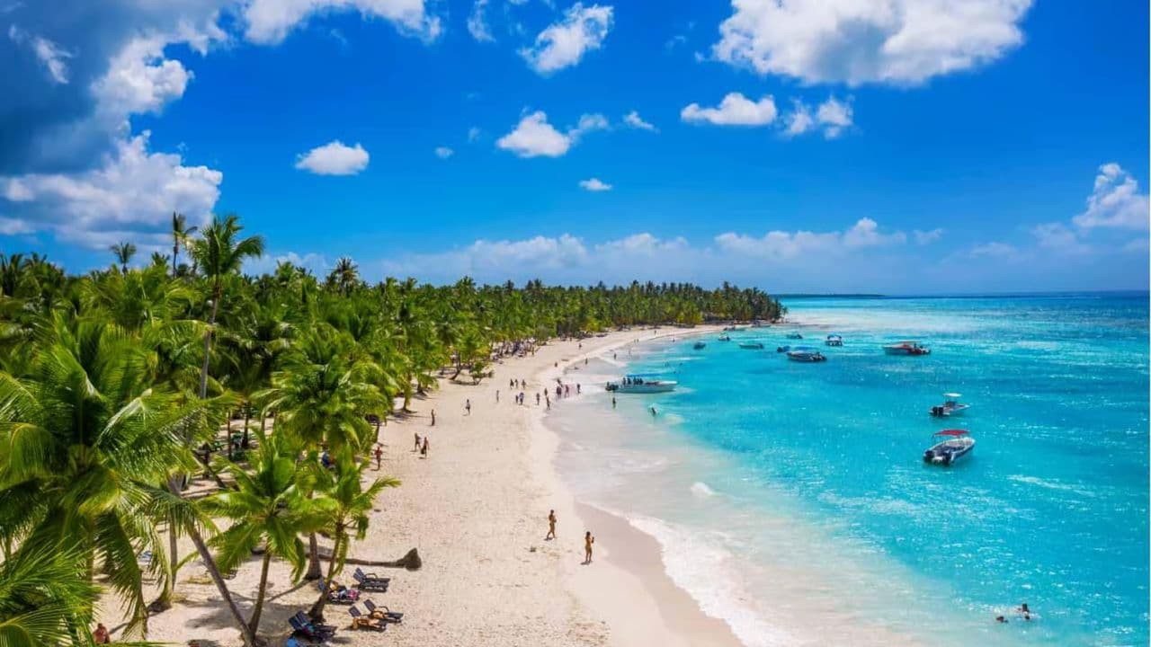 Santo Domingo: Saona Island Catamaran Tour with Lunch & Bar — Guided tour and outdoor activity