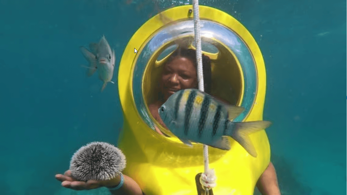 Scuba Doo - Diving Scooters in Punta Cana — Guided tour and outdoor activity