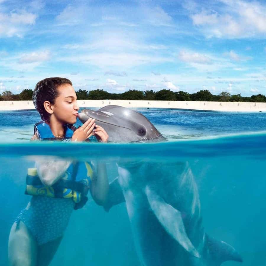 Punta Cana: Dolphin Discovery Park with Hotel Transfers â Guided tour and outdoor activity