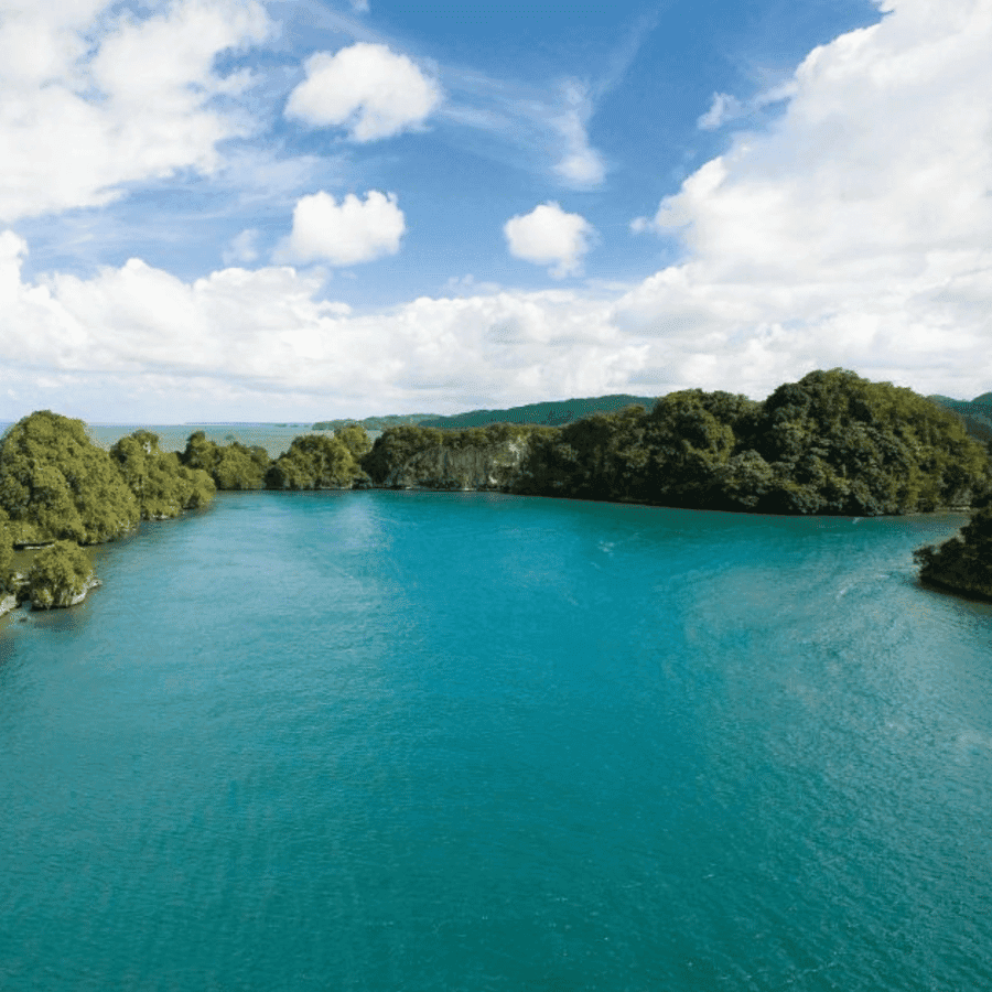 Punta Cana: Los Haitises National Park Full-Day Tour — Guided tour and outdoor activity