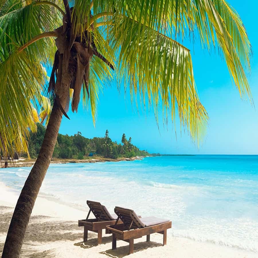 Juan Dolio: Saona Island Full-Day Tour with Lunch and Drinks â Guided tour and outdoor activity