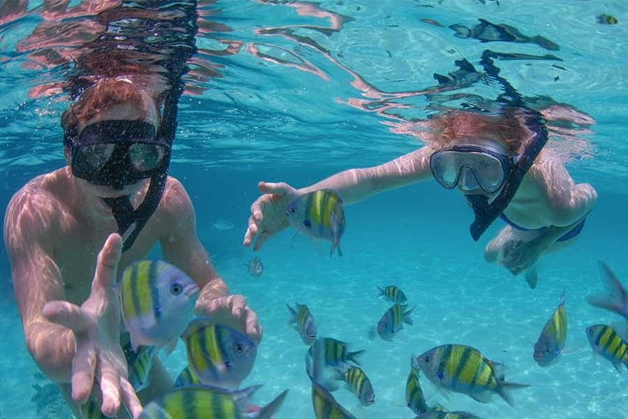 Punta Cana Private Catamaran (Small Group) — Guided tour and outdoor activity