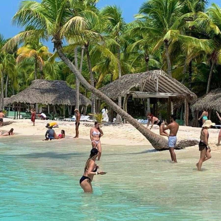 Bavaro: Schnellboottour zur Insel Saona mit offener Bar — Guided tour and outdoor activity
