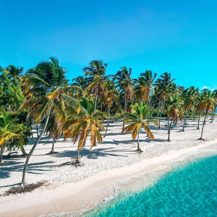 Punta Cana: Saona Island Full-Day Tour with Lunch — Guided tour and outdoor activity