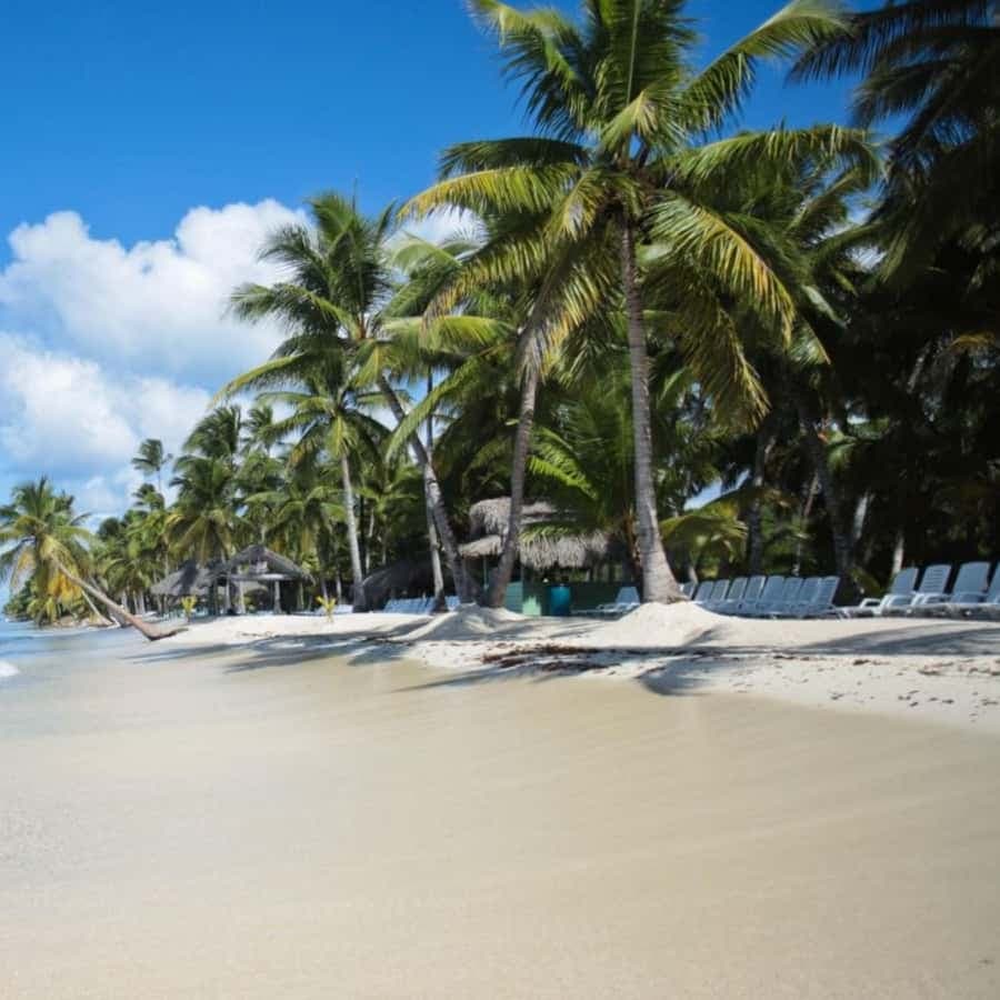 experience saona island from punta cana â Guided tour and outdoor activity