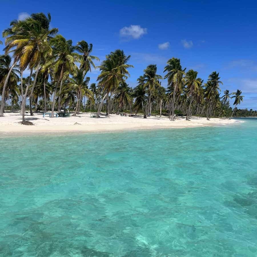 From La Romana: Saona Island All-Inclusive Day Trip — Guided tour and outdoor activity