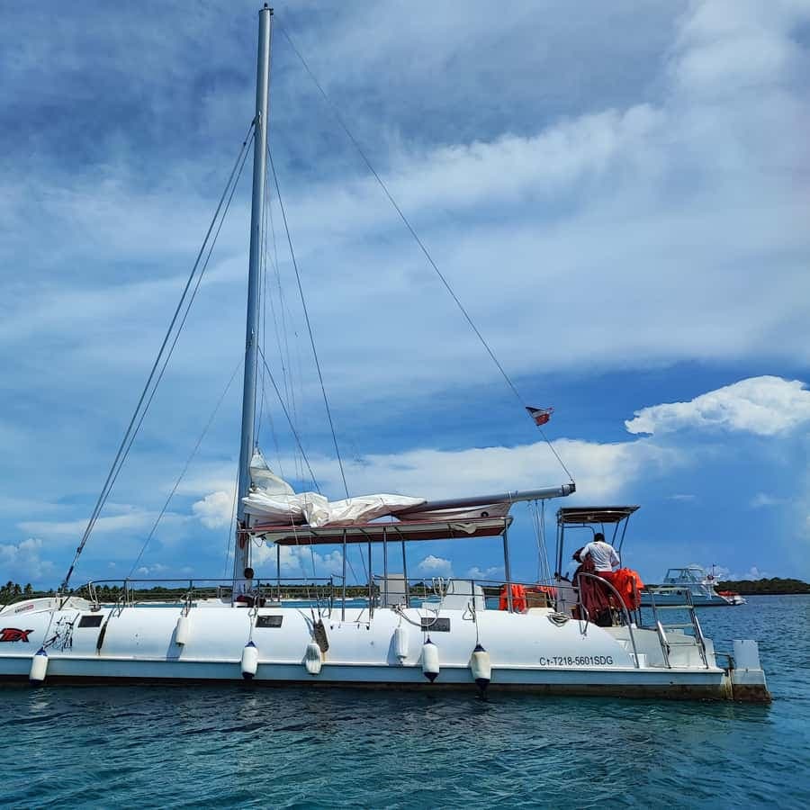 Catalina Island snorkeling: by Catamaran All inclusive â Guided tour and outdoor activity