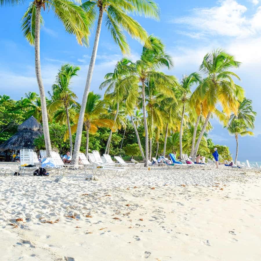 Walbeobachtung von Bayahibe nach Samaná | Private Katamaran-Tour — Guided tour and outdoor activity