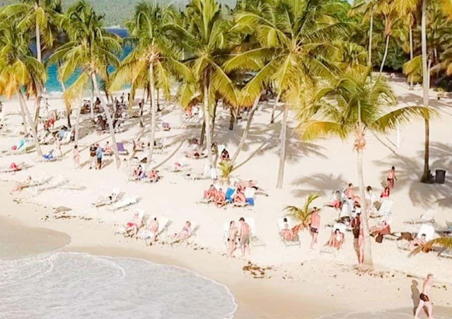 Bayahibe: Samaná and Miches Whale Watching Day Trip — Guided tour and outdoor activity