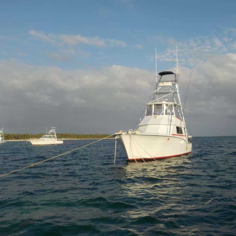 4 hours of deep sea fishing from Bavaro Punta Cana — Guided tour and outdoor activity