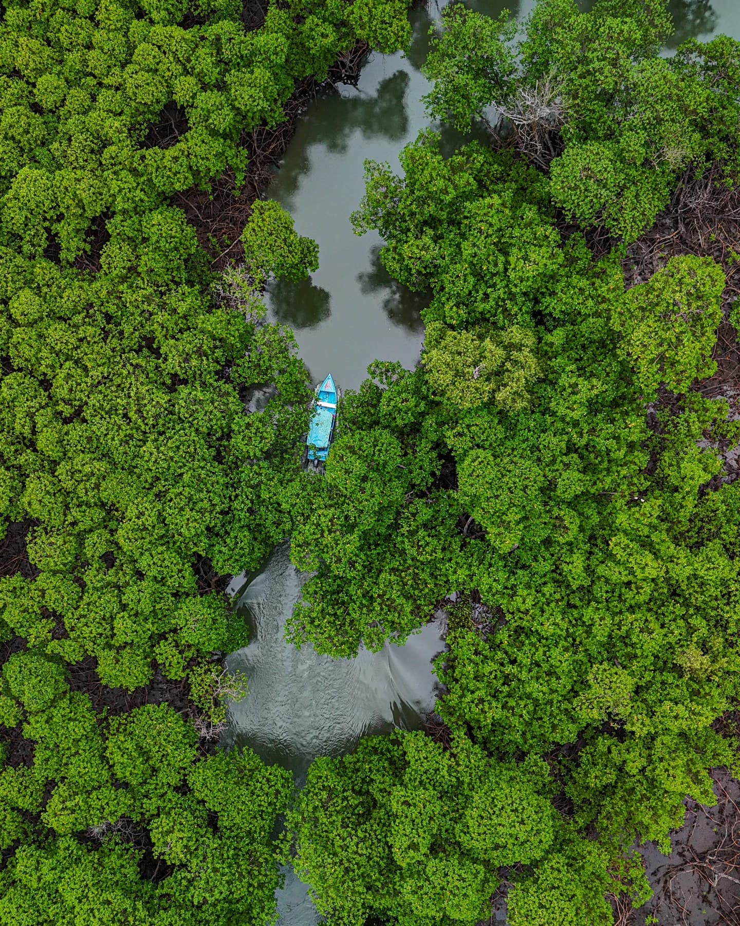 Las Terrenas: Just Los Haitises Boat and Walking Tour — Guided tour and outdoor activity