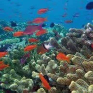 Valentinstagsurlaub in Puerto Plata — Guided tour and outdoor activity