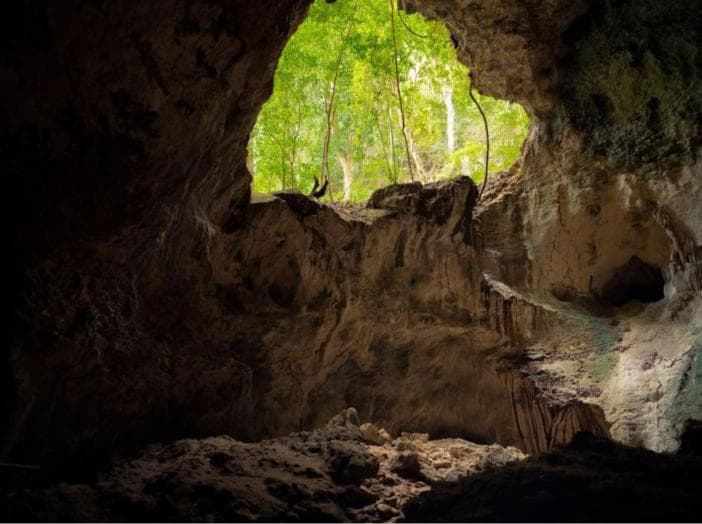 Los Haitises & Cayo Levantado Tour ab Las Terrenas | Ökotour-Abenteuer für 79 $ — Guided tour and outdoor activity