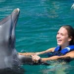 Plavání s delfíny v Punta Cana – Nejlepší 60minutový objev delfínů — Guided tour and outdoor activity