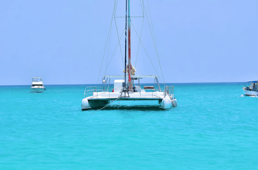 Punta Cana: Inselflucht nach Saona • Katamaran- und Strandmittagessen — Guided tour and outdoor activity