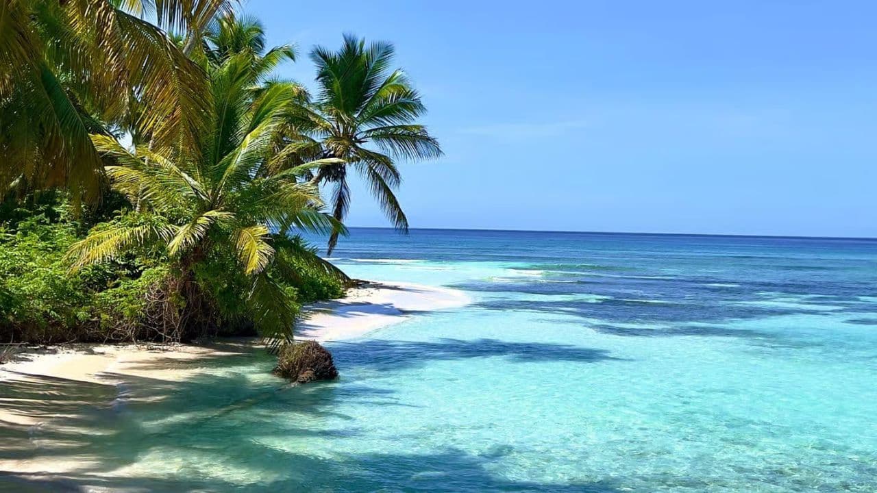 Reliable Airport Transfers to and From Punta Cana Airport â Guided tour and outdoor activity
