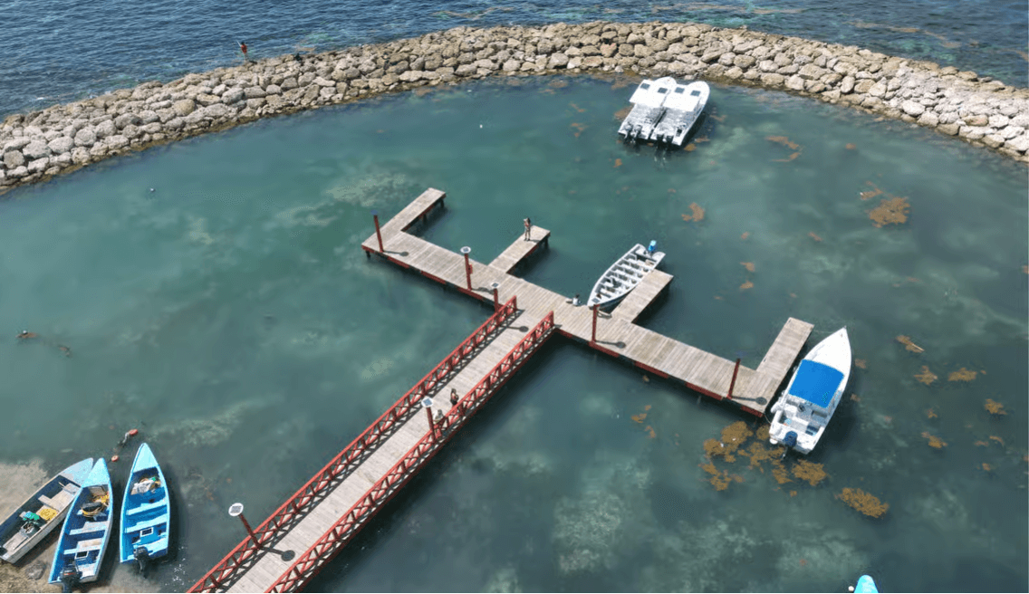 Catalina Island All Inclusive: Schnorcheln, tropischer Strand und Mittagsbuffet — Guided tour and outdoor activity