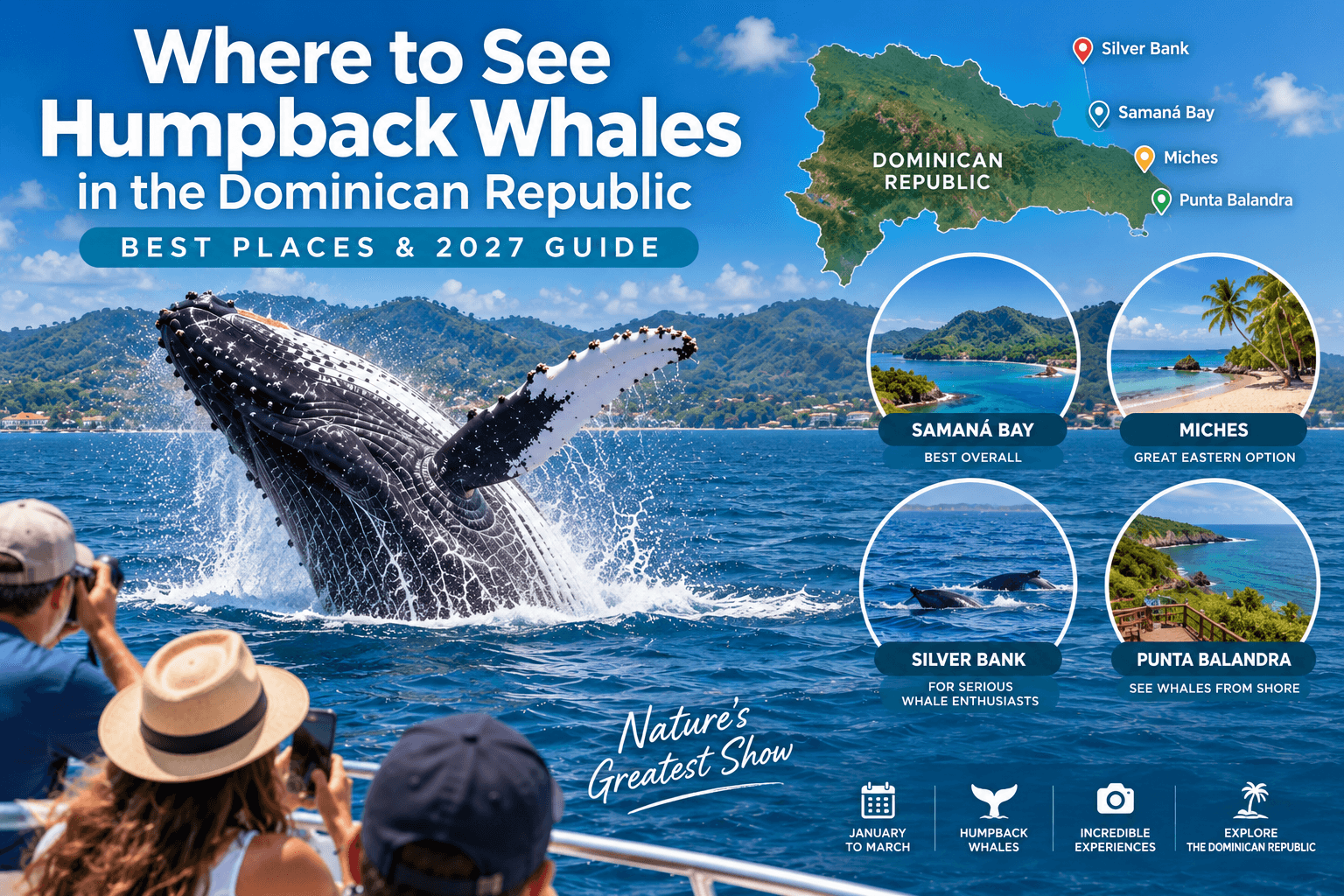 Où voir les baleines à bosse en République Dominicaine : meilleurs endroits et guide 2027 - Samana Whale Watching Tour Guide