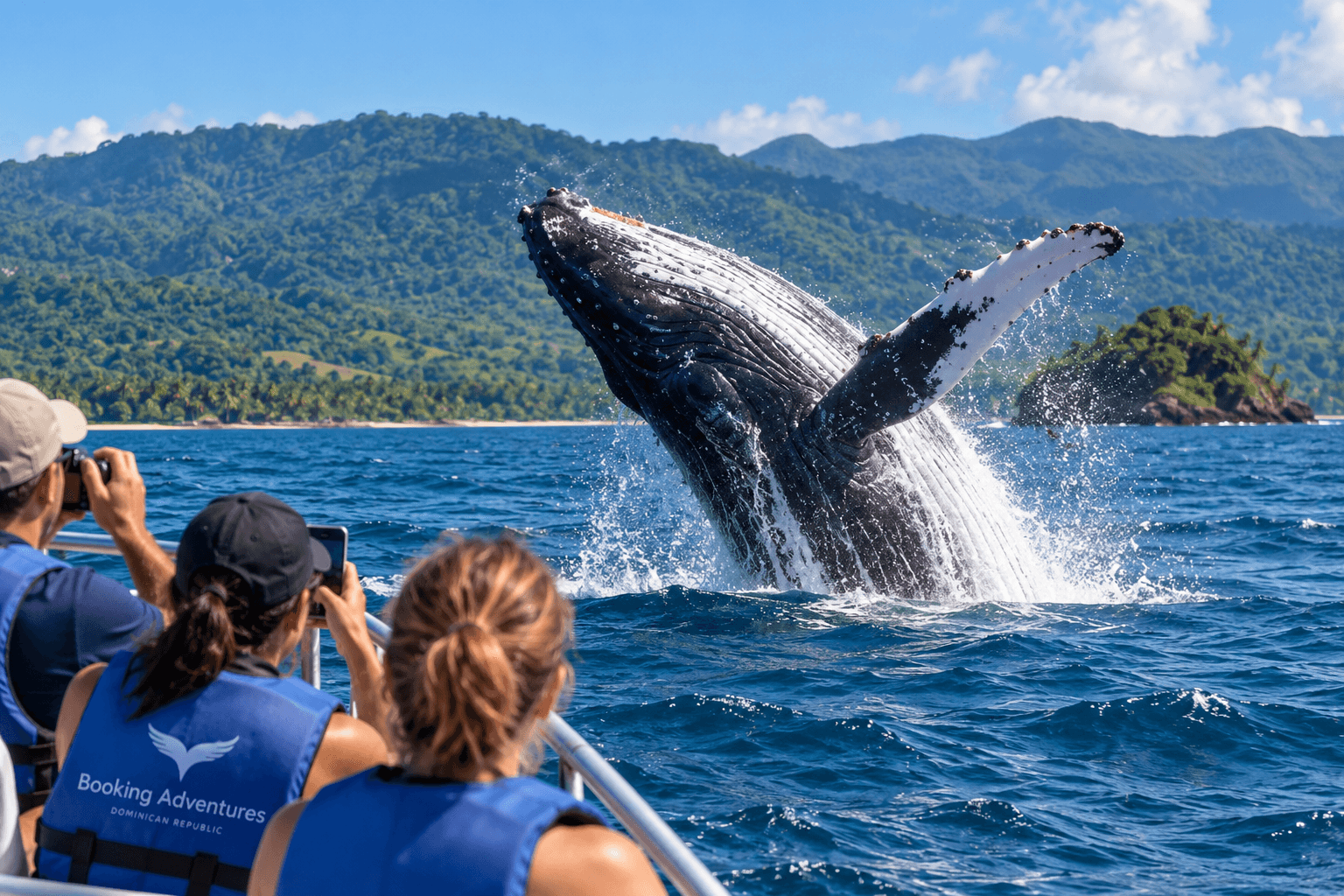 Sezóna sledování velryb Samaná 2027: Nejlepší čas vidět keporkaky - Samana Whale Watching Tour Guide