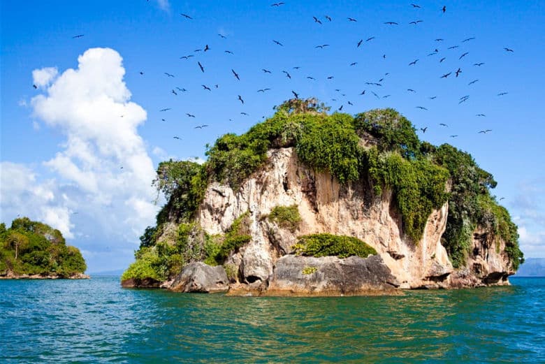 Los Haitises hajótúra | Barlangok, mangrovák és vadon élő állatok - Samana Whale Watching Tour Guide