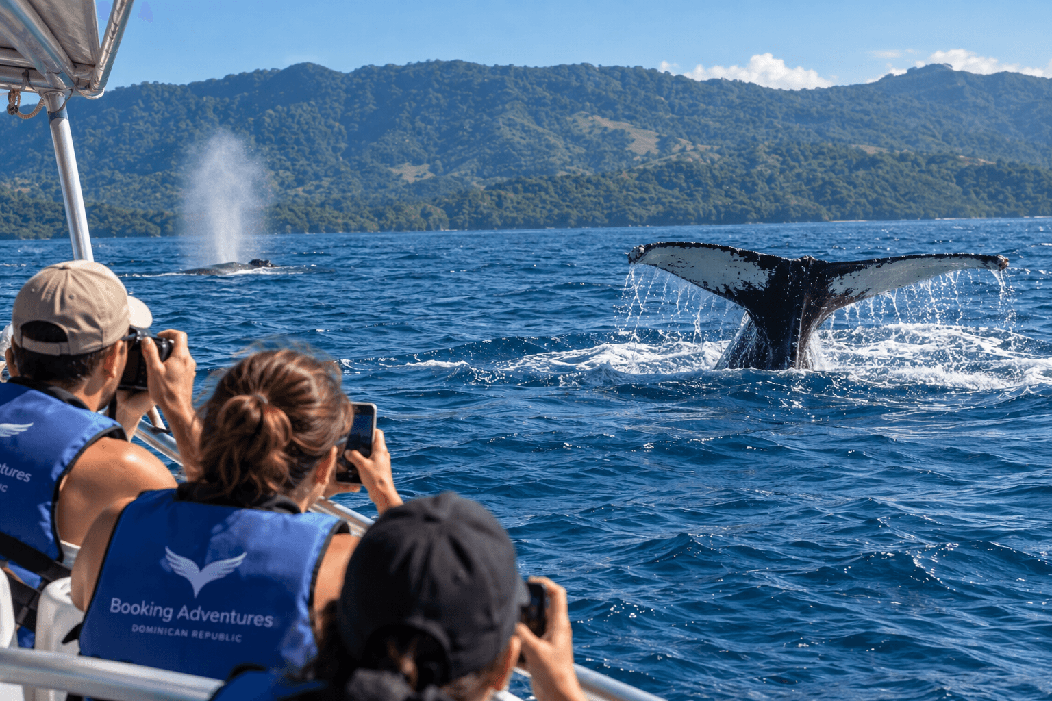 ¿Cuánto cuesta el avistamiento de ballenas en Samaná? 2027 Precios y Tours - Samana Whale Watching Tour Guide