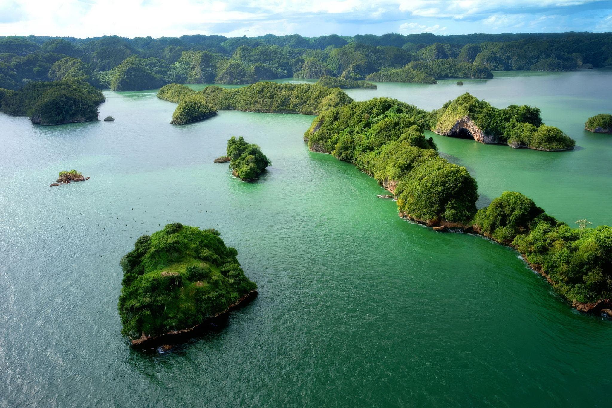 TOP LOS HAITISES TOURS (LIYEN BOOKING ENKLI)