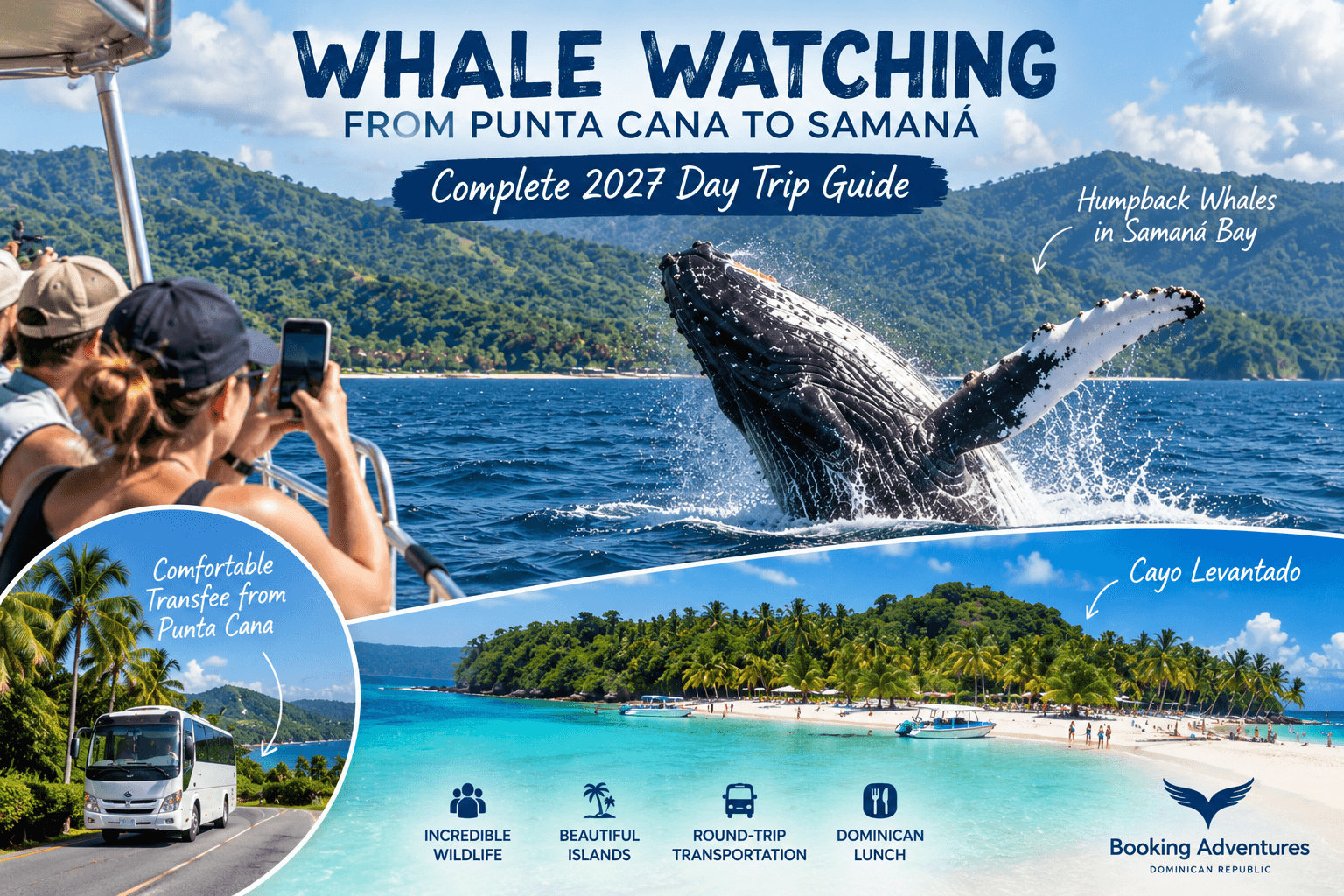 Bálnales Punta Canától Samanáig: Teljes 2027-es napi kirándulási útmutató - Samana Whale Watching Tour Guide