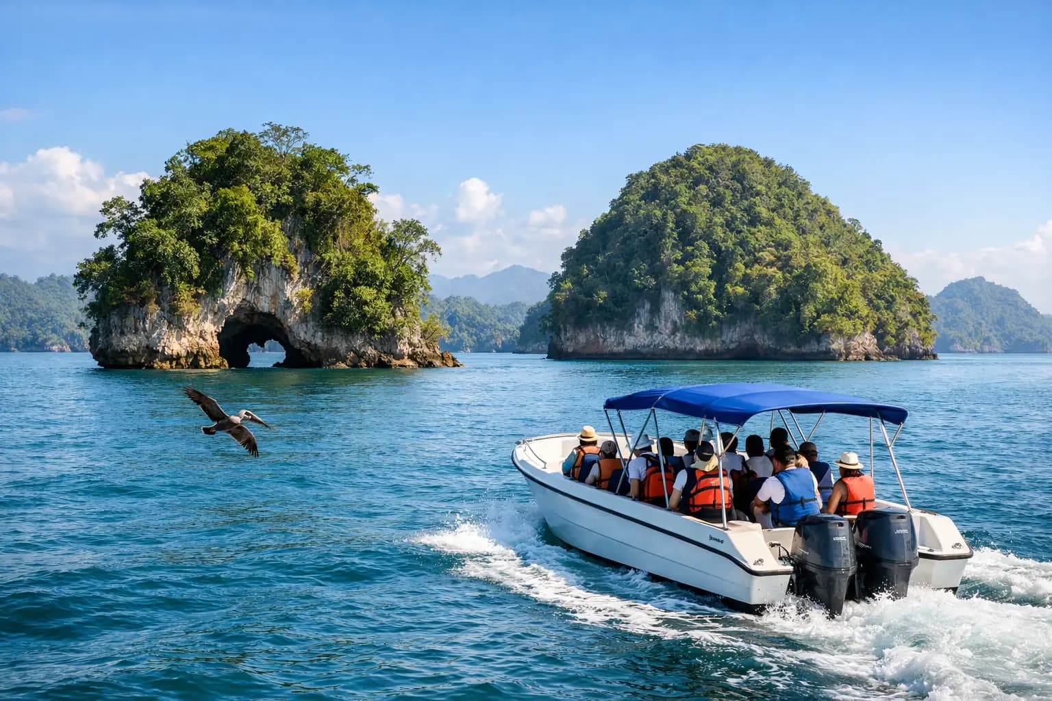 Půldenní výlety lodí NP Los Haitises ze Samany - Samana Whale Watching Tour Guide