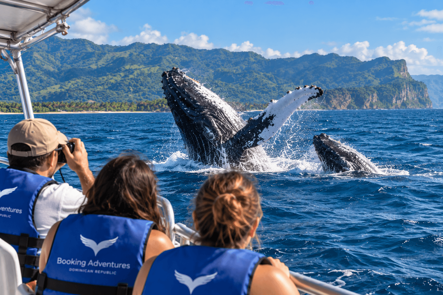 Nejlepší výlety za pozorováním velryb v Samaná: Kterou prohlídku byste si měli rezervovat? - Samana Whale Watching Tour Guide