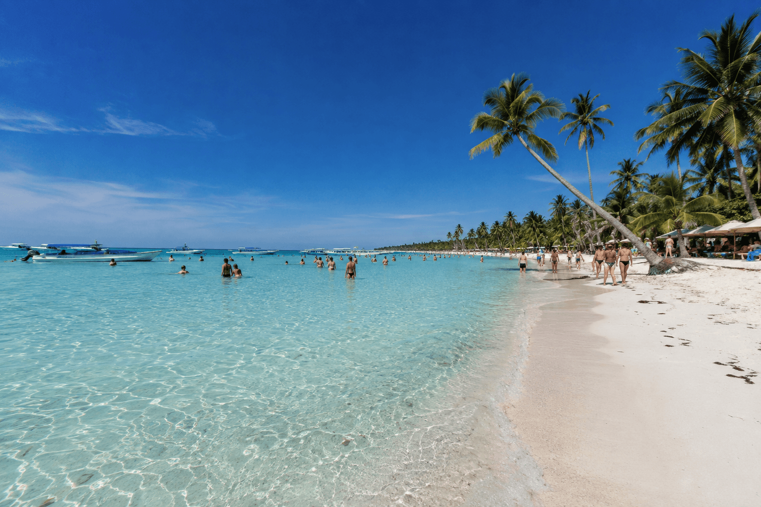 Saona-sziget Dominikai Köztársaság: túrák, tippek és árak 2026 - Samana Whale Watching Tour Guide